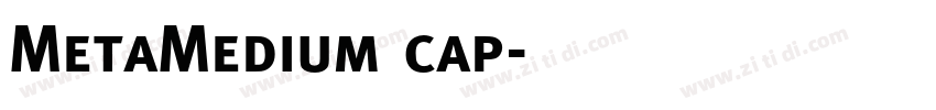 MetaMedium cap字体转换